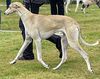 Profile picture of the animal